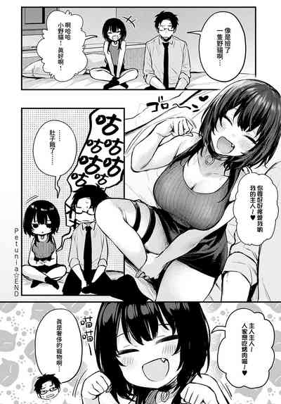 第142頁圖