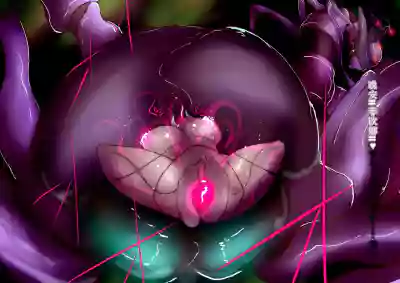 第42頁圖