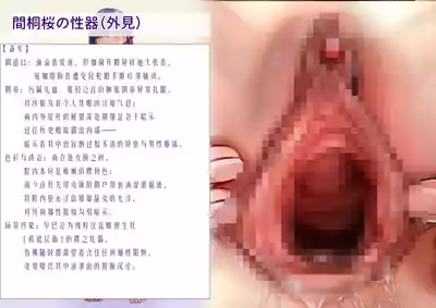第14页 封面 - HaSM.cc