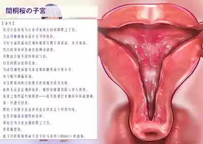 第34页 封面 - HaSM.cc