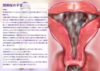 第38页 封面 - HaSM.cc