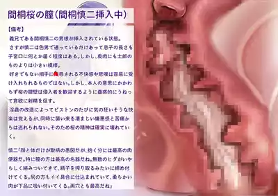 第38页 封面 - HaSM.cc
