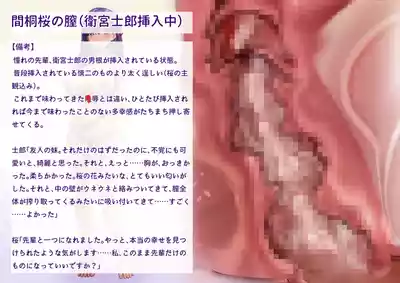 第42页 封面 - HaSM.cc