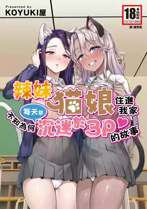 辣妹猫娘住进我家不知为何每天都沉迷于3P的故事 封面 - HaSM.cc