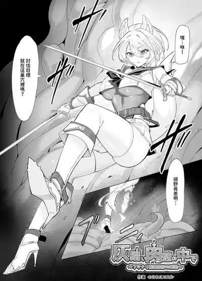 第30頁 封面 - HaSM.cc
