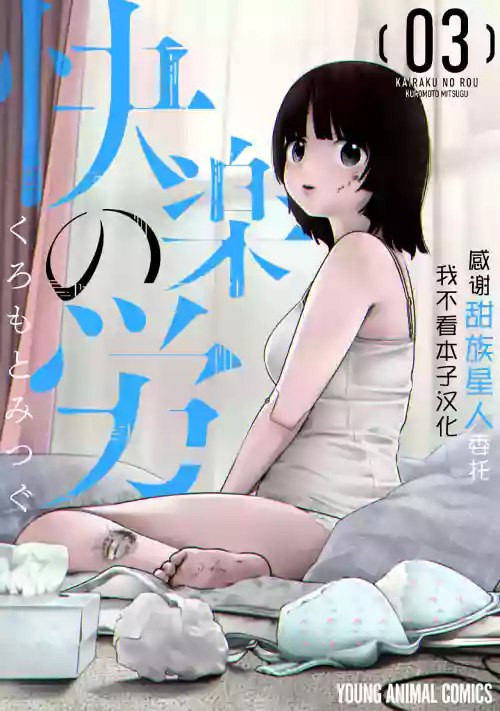 快楽の労 3 巻 封面 - HaSM.cc