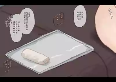第102頁 封面 - HaSM.cc
