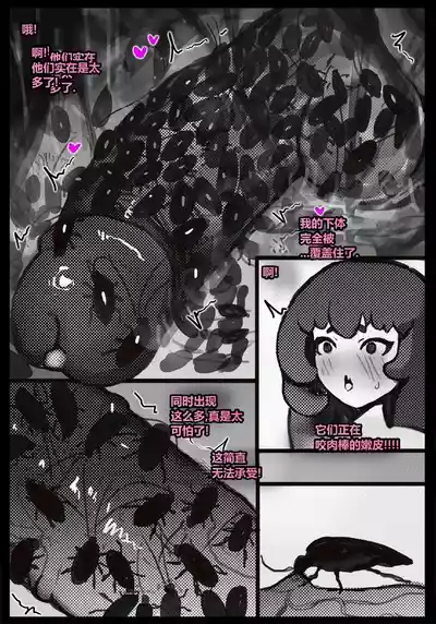 第22頁 封面 - HaSM.cc