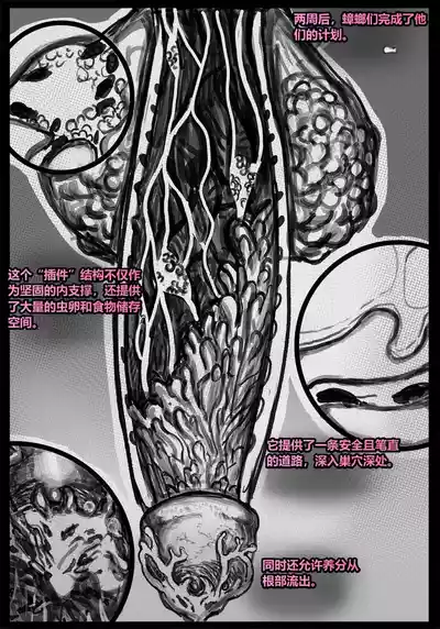 第54頁 封面 - HaSM.cc