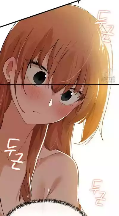 第42頁圖