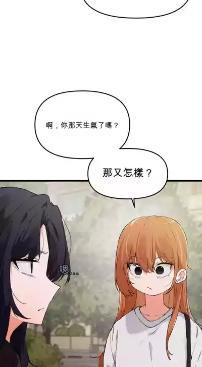第482頁圖