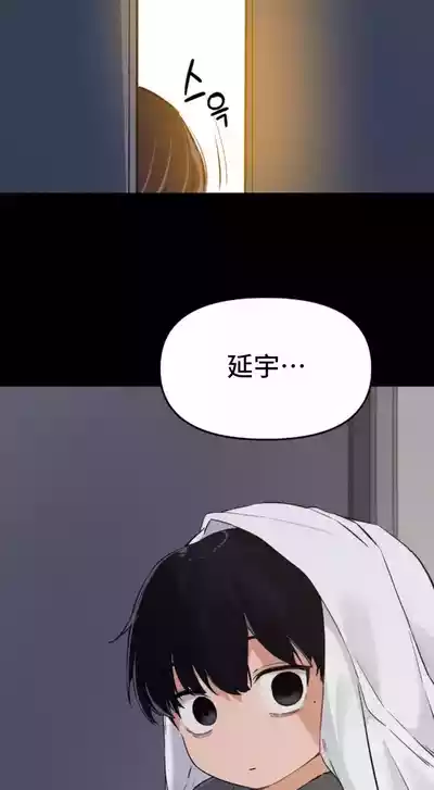 第522頁圖