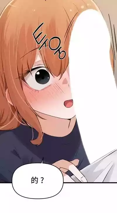 第582頁圖