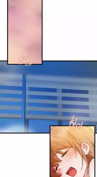 第730頁圖