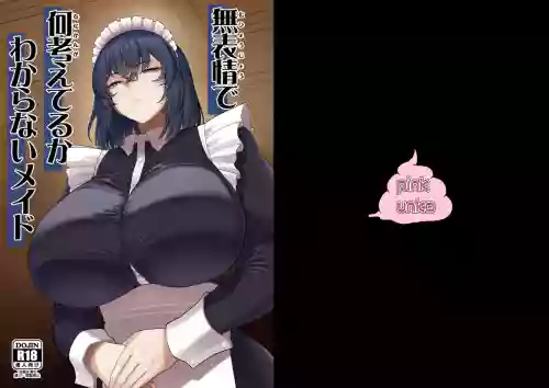 Muhyoujou de Nani Kangaeteru ka Wakaranai Maid 封面 - HaSM.cc