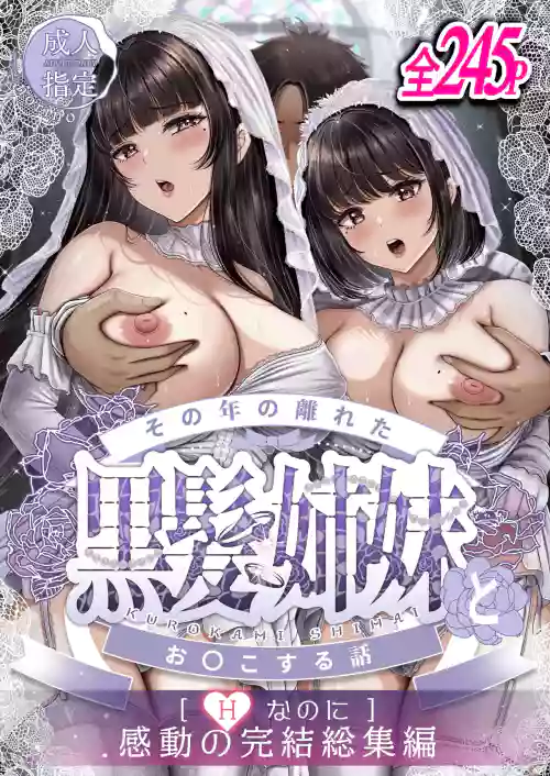 Sono Toshi no Hanareta Kurokami Shimai to Omeko suru Hanashi ~Kandou no Kanketsu Soushuuhen~ 封面 - HaSM.cc