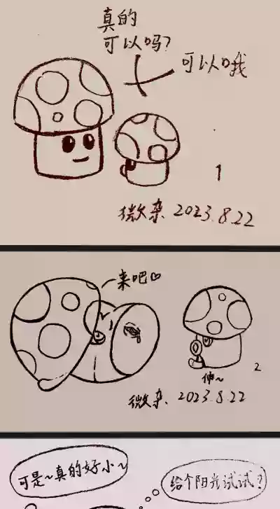 第14页 封面 - HaSM.cc