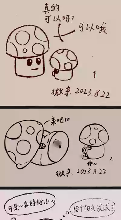 第6页 封面 - HaSM.cc