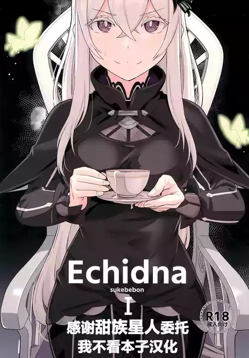 Echidna sukebebon I 封面 - HaSM.cc