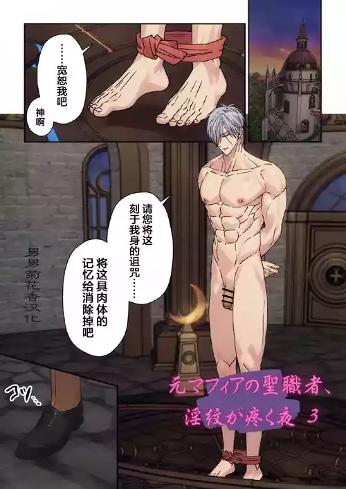 【星谷京】元マフィアの聖職者、淫紋が疼く夜3｜前黑手党的圣职者、淫纹蠢蠢欲动的夜晚3 封面 - HaSM.cc