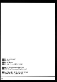第22頁圖