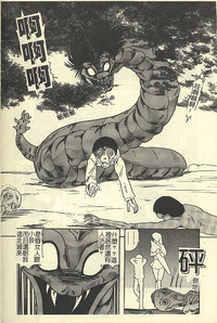 第146頁圖
