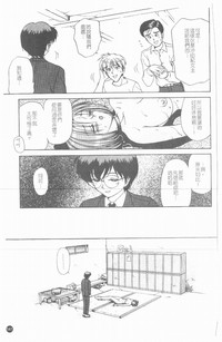 第142頁圖