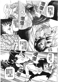 第142頁圖