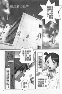 第42页图