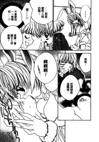 第154頁圖