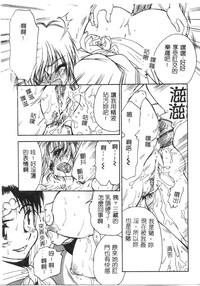 第14頁圖
