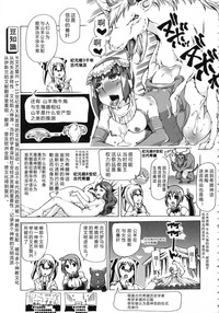 第218頁圖