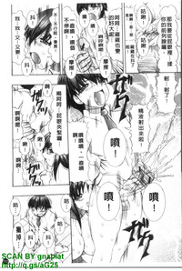 第154頁圖