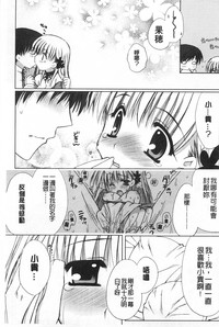 第142頁圖