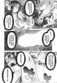 第14页图