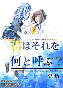 君はそれを何と呼ぶ？图