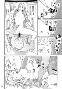 第14頁圖