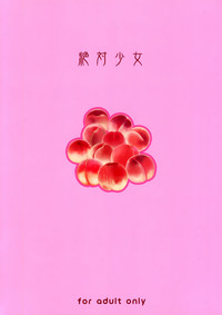 第26页图