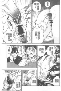 第142頁圖