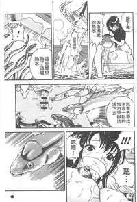 第54頁圖