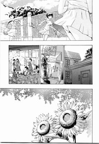 第190頁圖