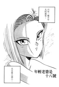 第146頁圖
