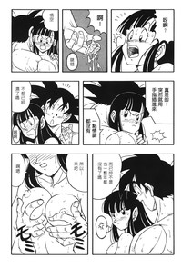 第106頁圖