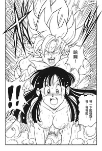 第110頁圖