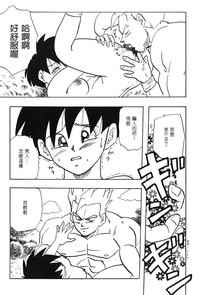 第66頁圖