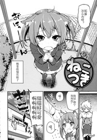 第210頁圖