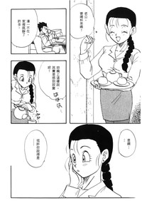 第146頁圖