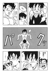 第98頁圖