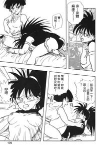 第110頁圖