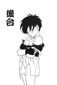 第114頁圖